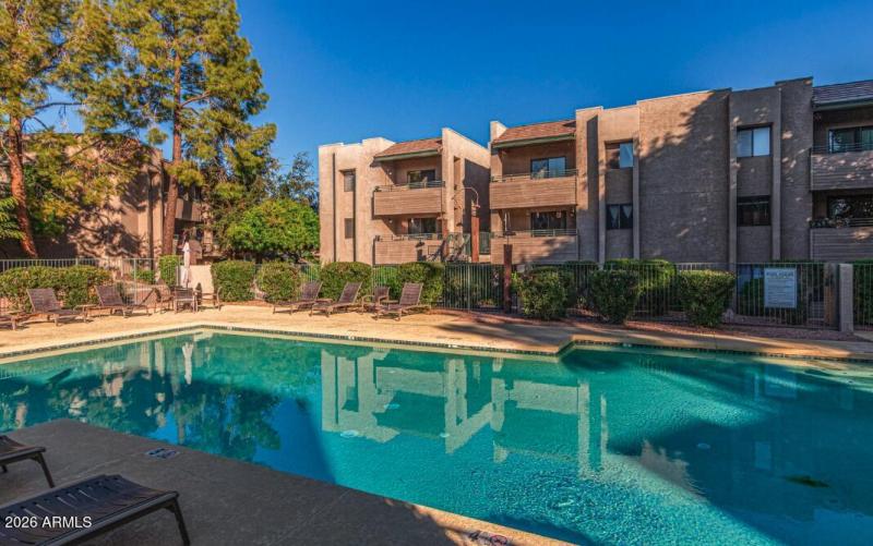 Screenshot 2026-02-19 at 4.20.41PM