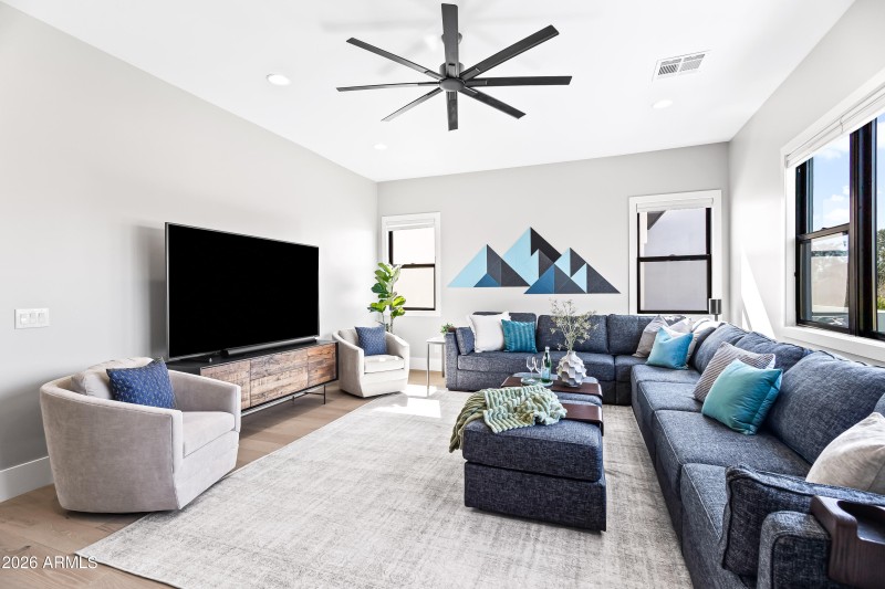 Media / Lounge flex room