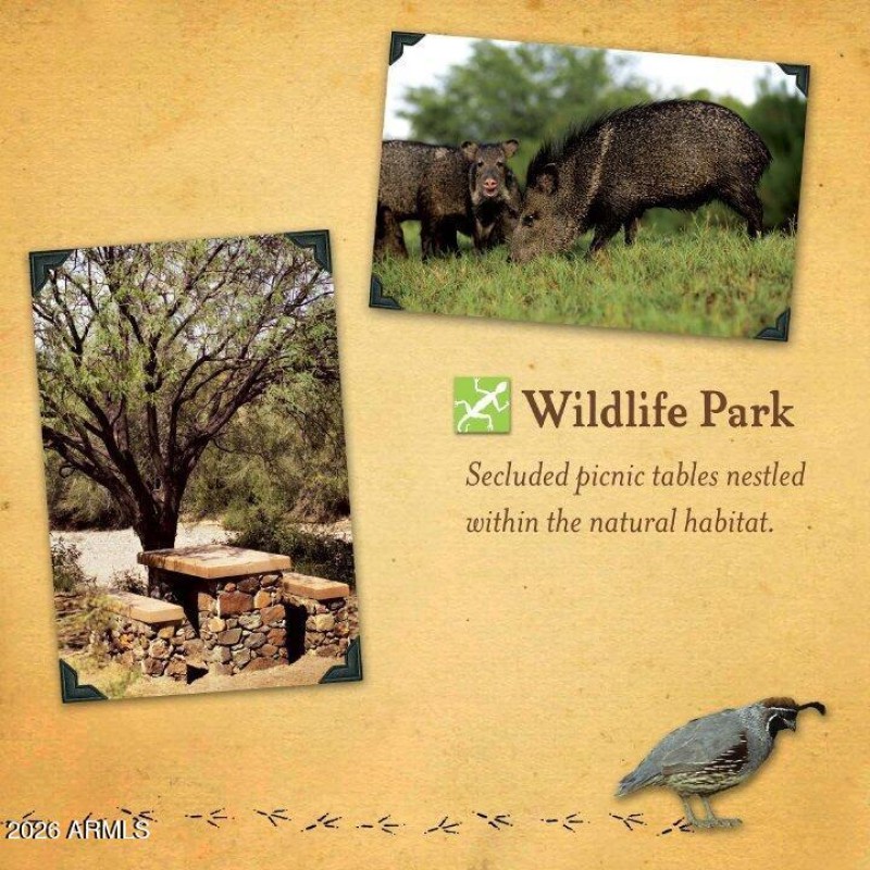 15 - Wildlife Park