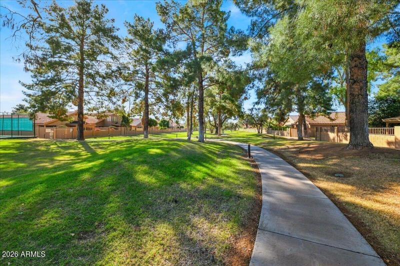 Scenic Walking Paths