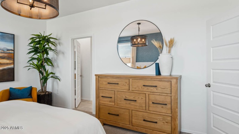 Photo is of model. Packages may vary.