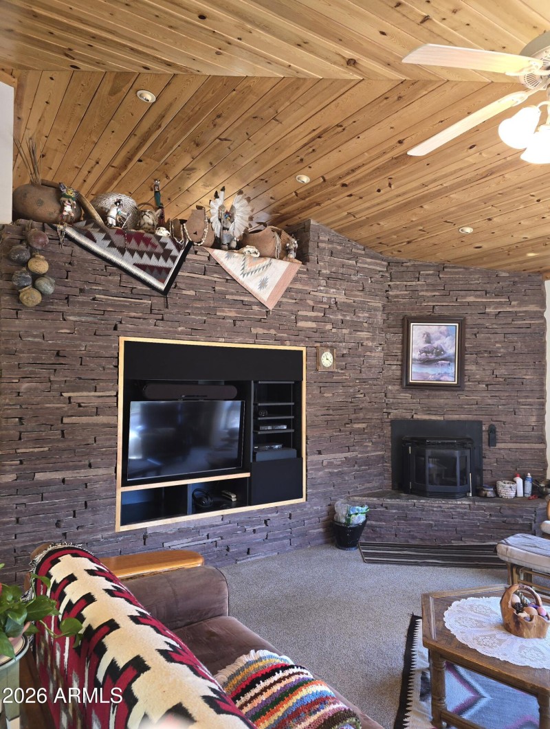 Lvg Stone Fireplc & Pellet Stove