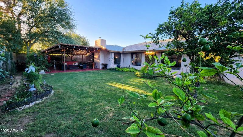 Backyard facing West 4