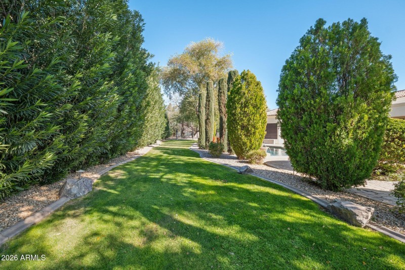 Backyard Grass Views