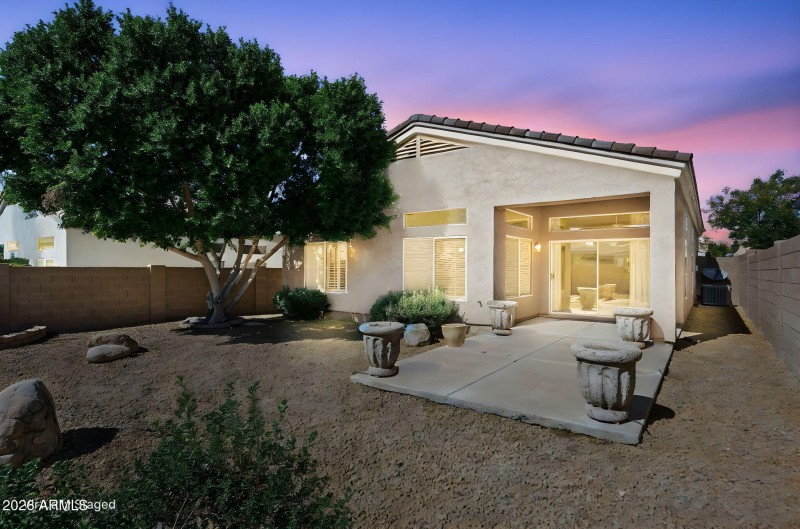 Stunning Low Maintenance Yard