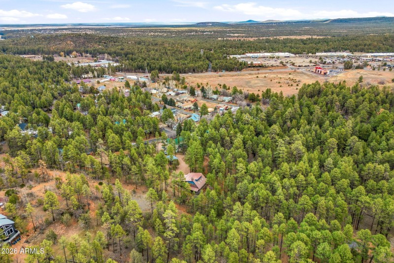 1041WhiteTailDr-ShowLow-AZ-48