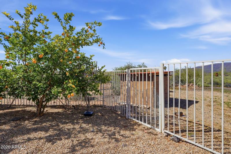 6601 E Willow Springs Ln N