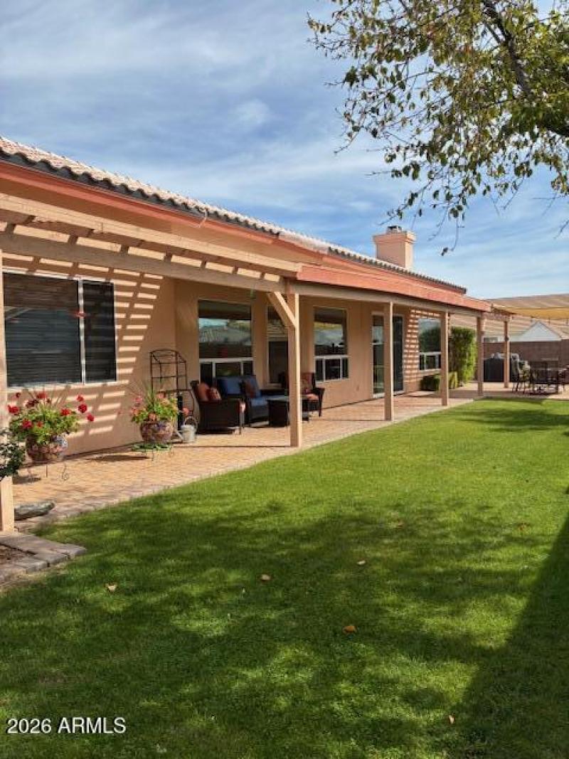 Backyard Grass & Patio