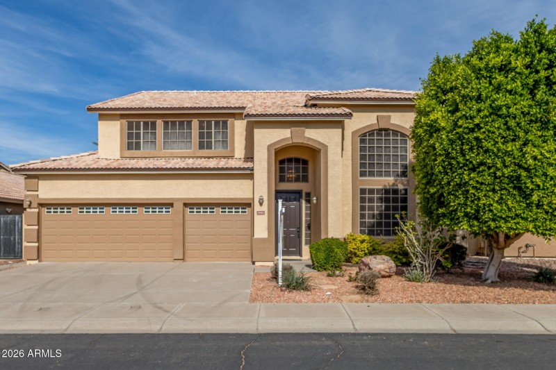 02 - Agave 02-24-2026