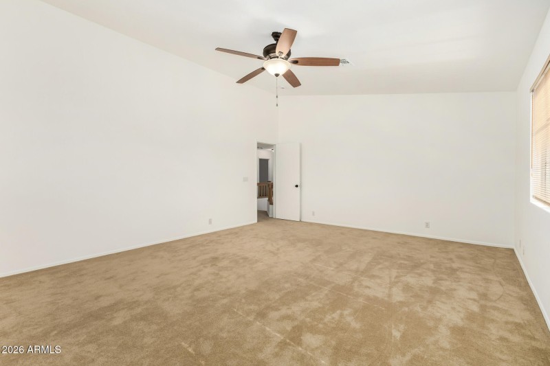 20 - Agave 02-24-2026