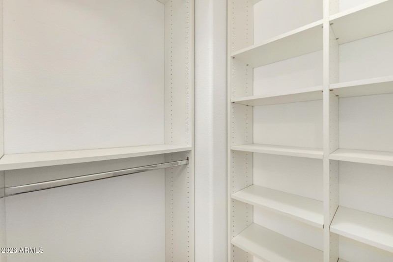 31 - Agave 02-24-2026