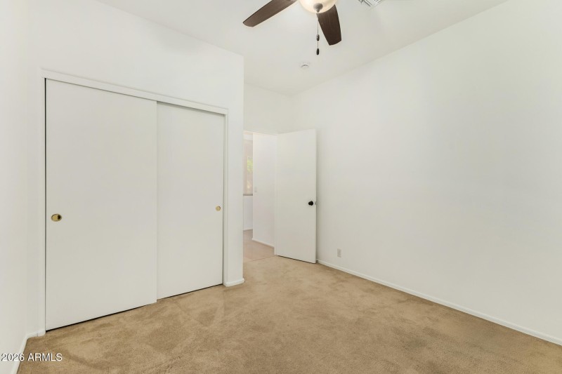 35 - Agave 02-24-2026