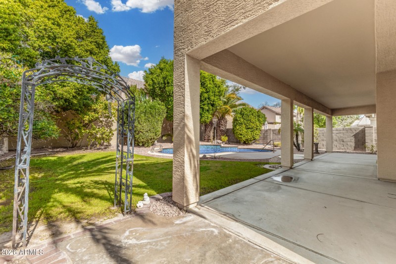 43 - Agave 02-24-2026