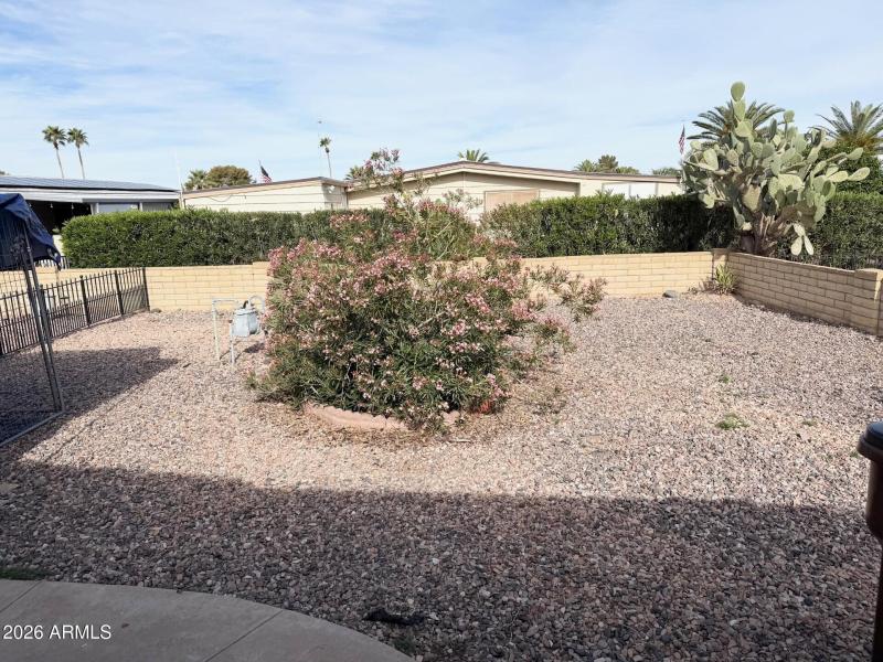 Low Maintenance Yard