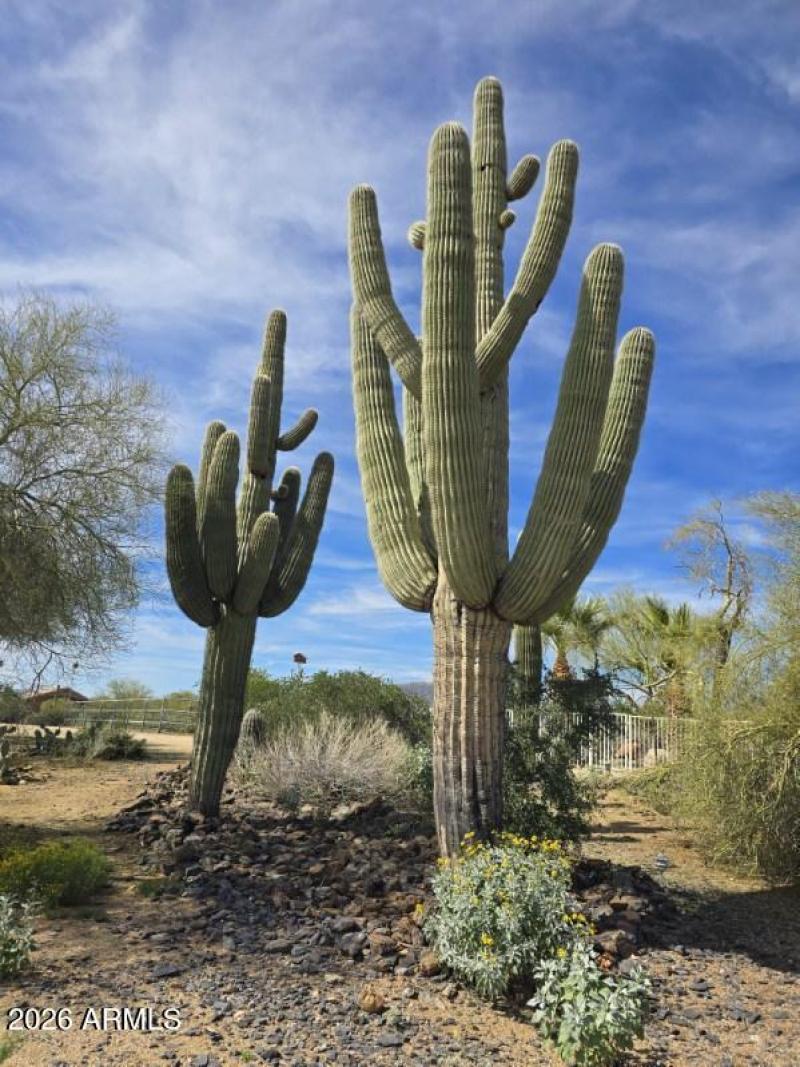 6601 E Willow Springs Ln N