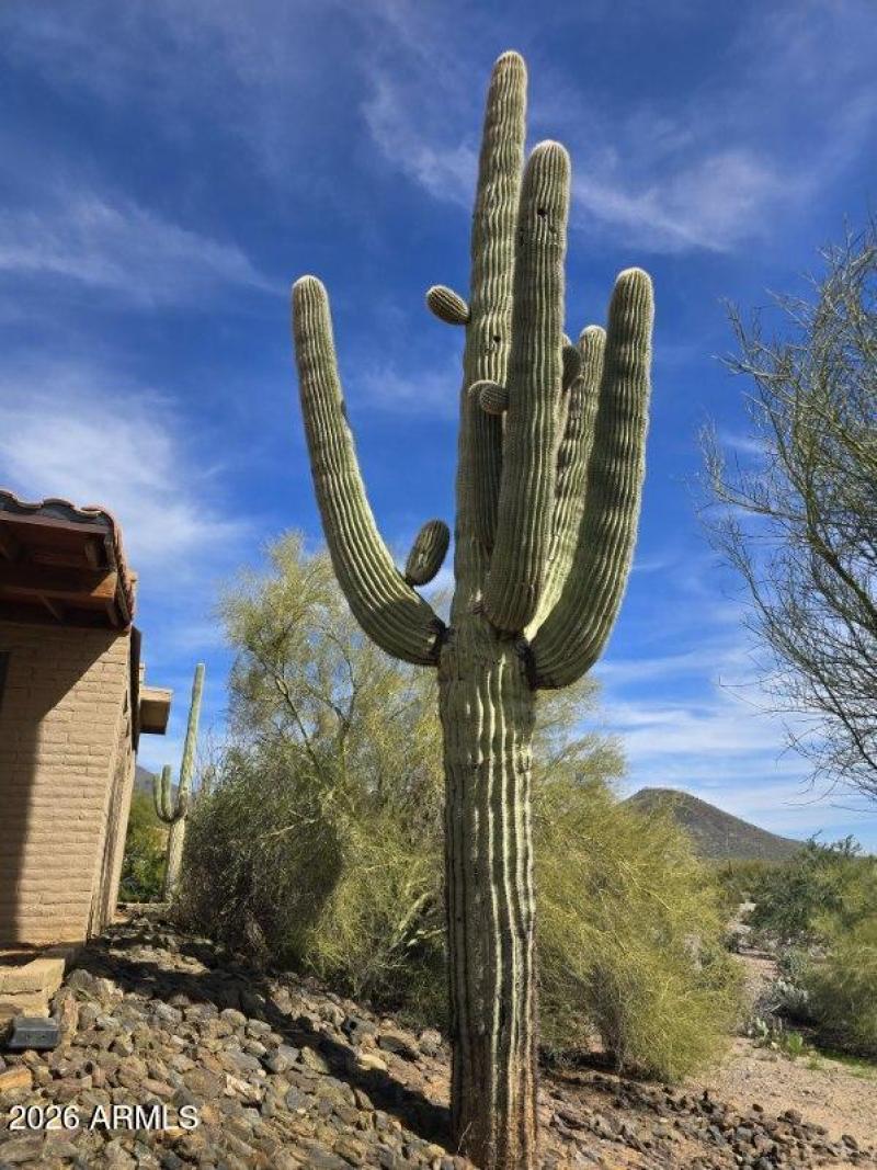 6601 E Willow Springs Ln N