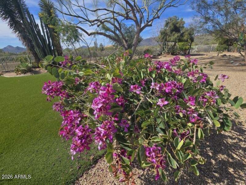 6601 E Willow Springs Ln N