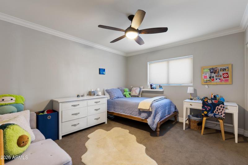 8717 E Spanish Barb Trail-36