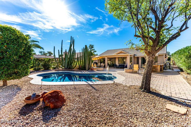 Desert scape back yard w/ pool