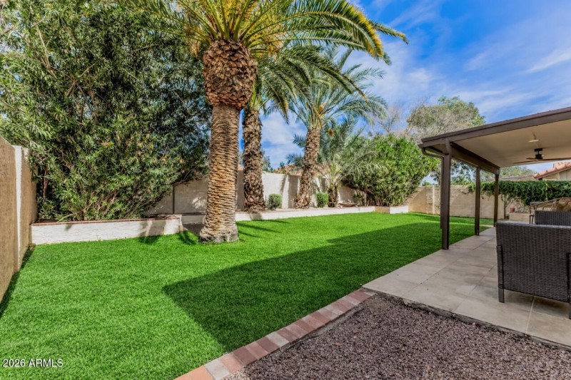 Backyard with Virtual Summer Grass