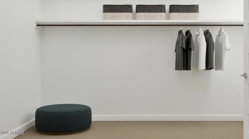 Owners Walk in Closet