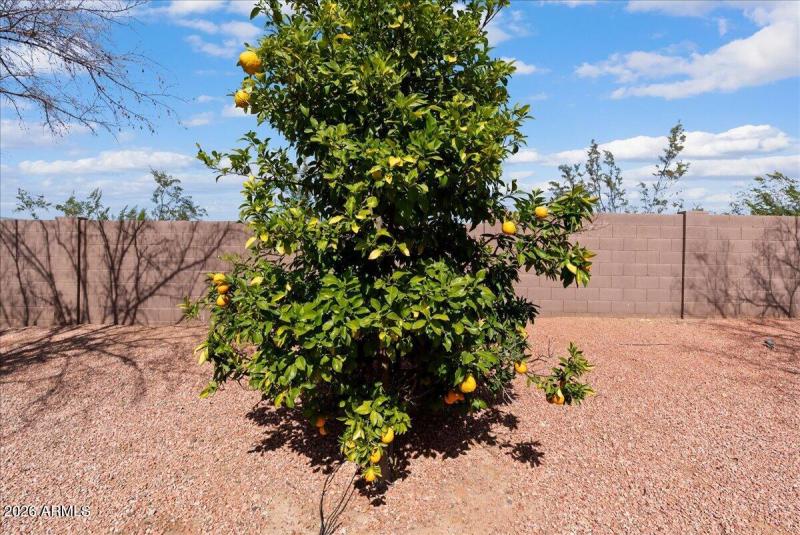 06-DesertSkyREM-13002 W San Juan Ave, Li