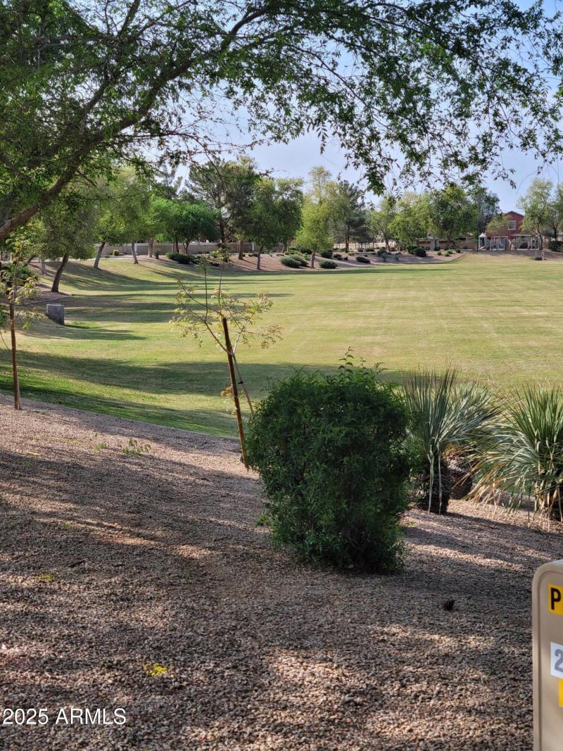 huge park across street