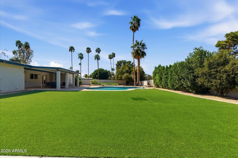 Low Maintenance Artificial Turf