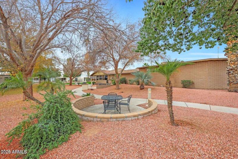 Apollo - Common grounds