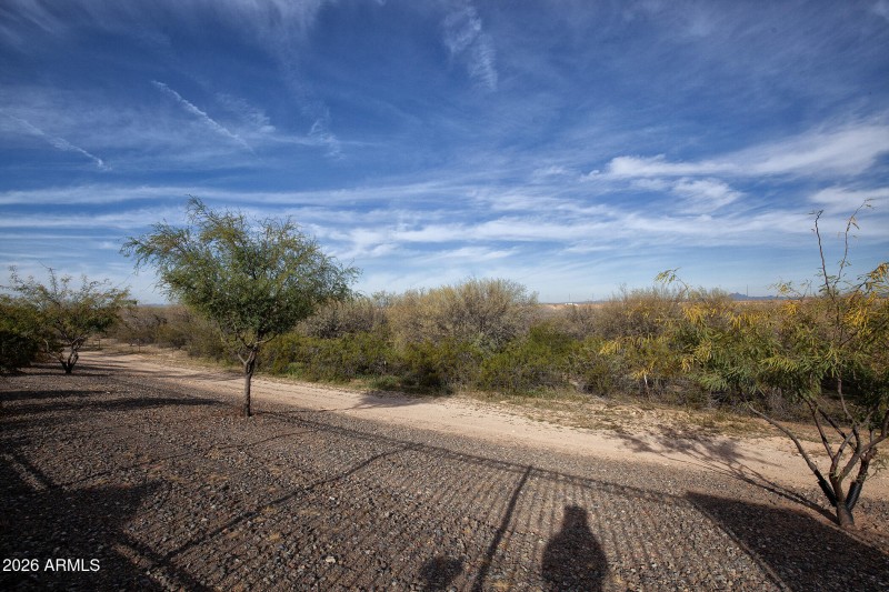 087_20218NWagnerWashDr