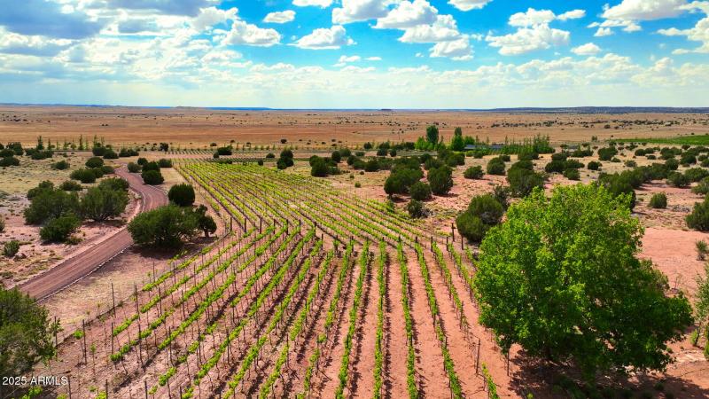 Red Rock Ranch Vineyards!