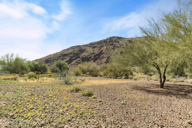 56 Drive from the backyard to Ludden Mou