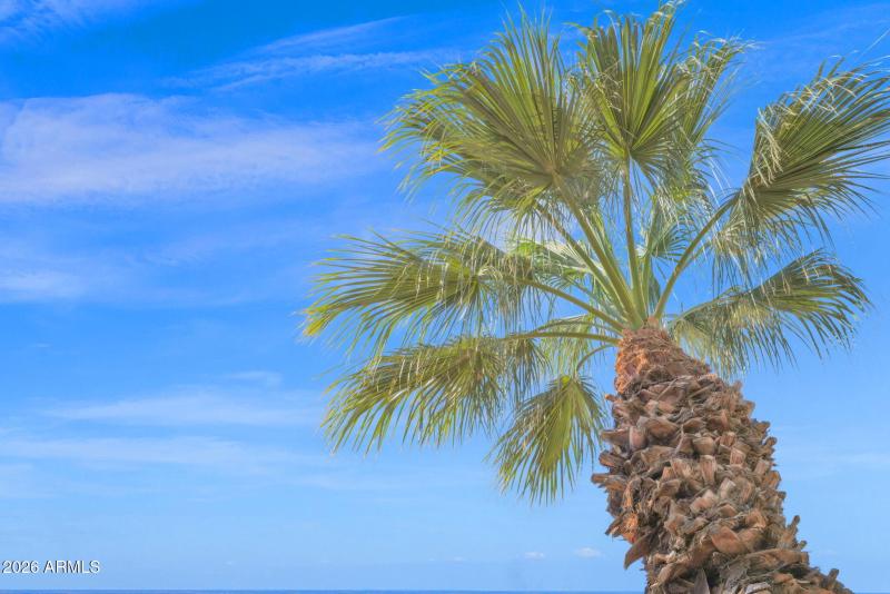 39-web-or-mls-P1547124