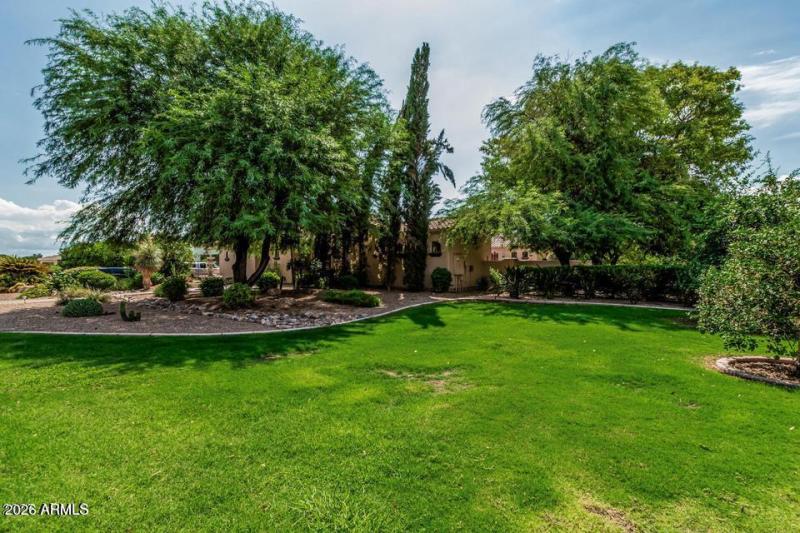 Frontyard Grass Area