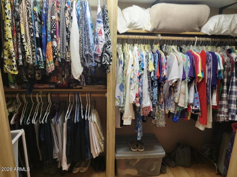 3809 primary walk in closet