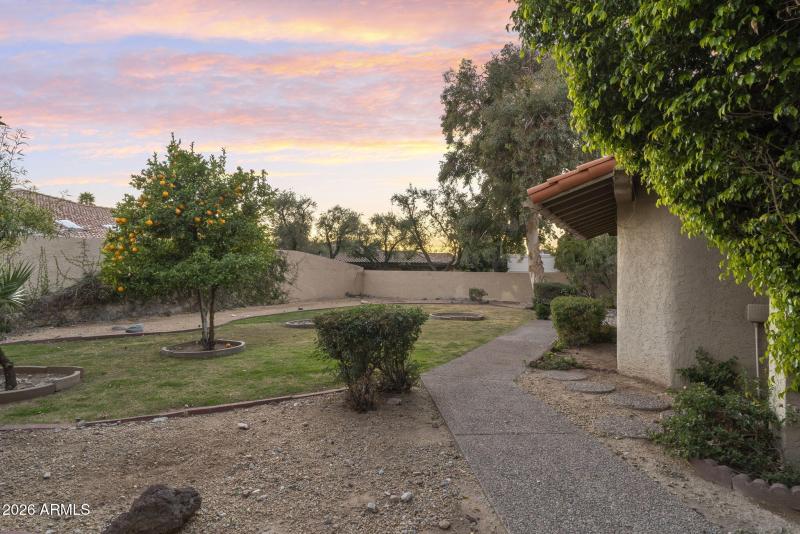 Fruit Trees and Grass