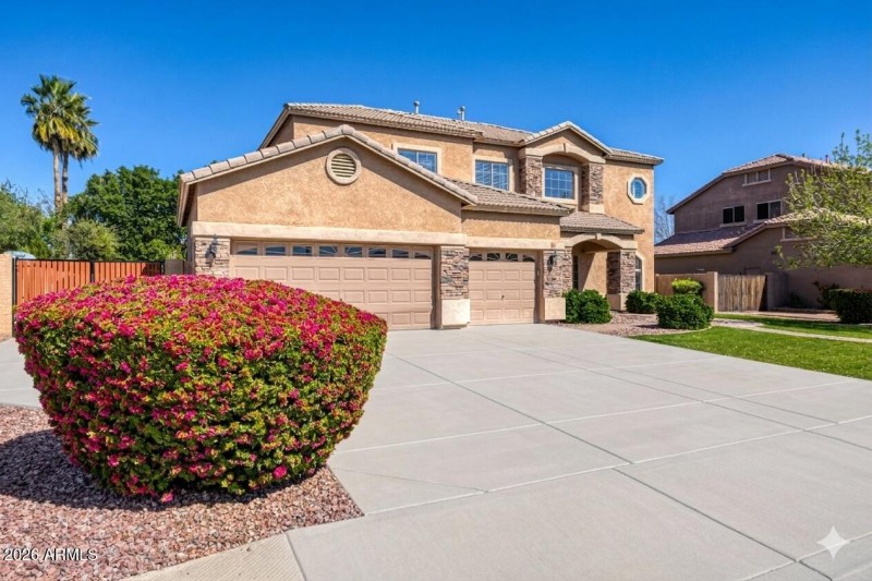 Gemini_Generated_Image_mp5jg0mp5jg0mp5j