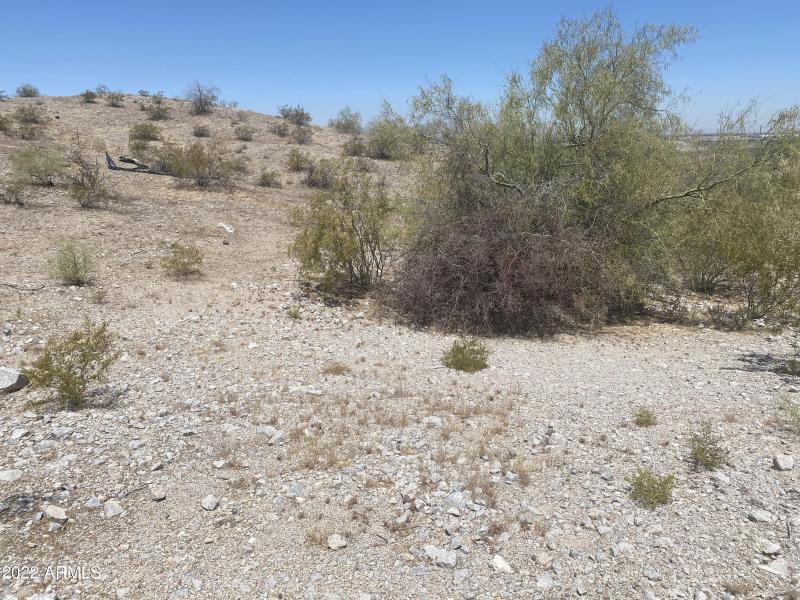 Photo May 13, 11 32 38 AM