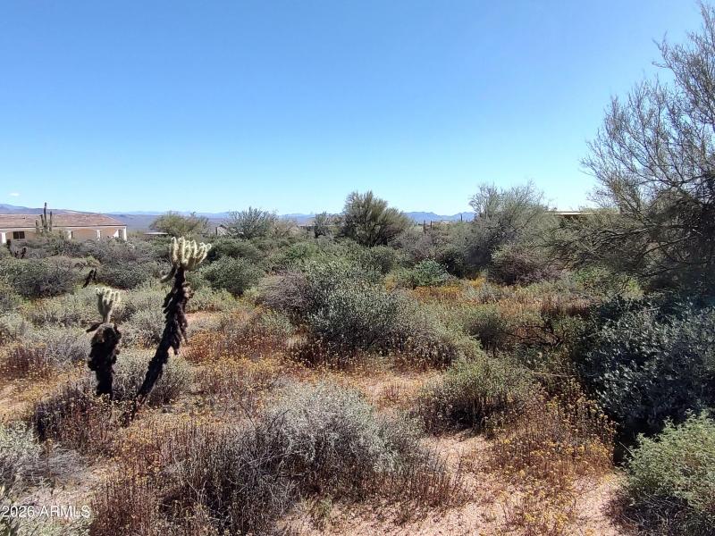 Perfect for a Custom Home