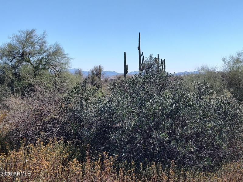Natural Desert Landscape