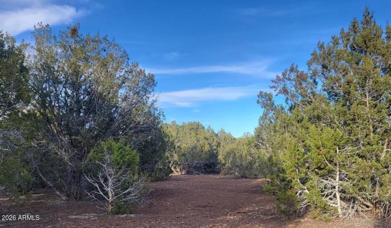 57a71434-2701-4d98-9ac5-b837f0dad7f1