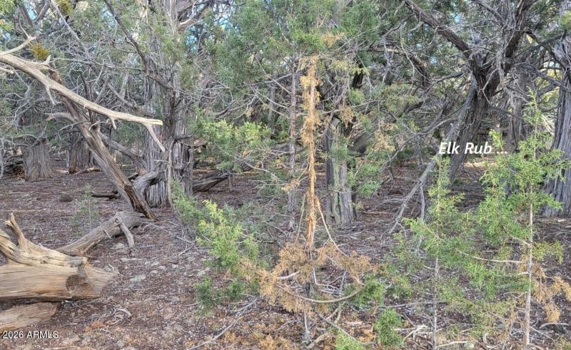 a01a044c-3a5e-4694-b8be-3d5c3de6e67c