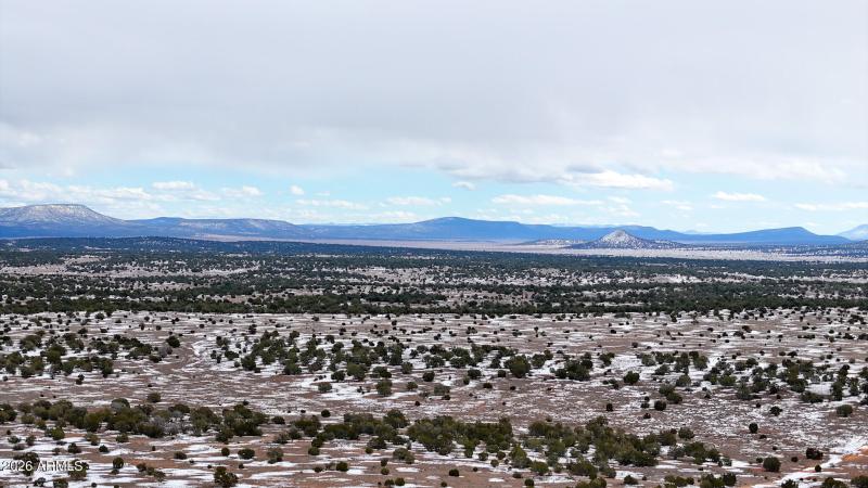 dji_fly_20260219_144900_0370_17715902948