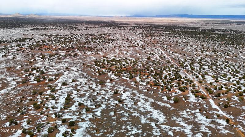 dji_fly_20260219_144836_0368_17715902956