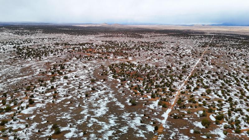 dji_fly_20260219_144818_0364_17715902970