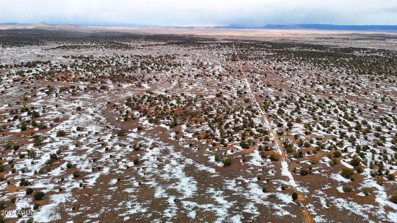 dji_fly_20260219_144830_0366_17715902963