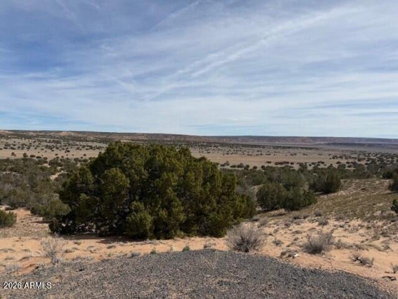 gbar333333333333333333333333