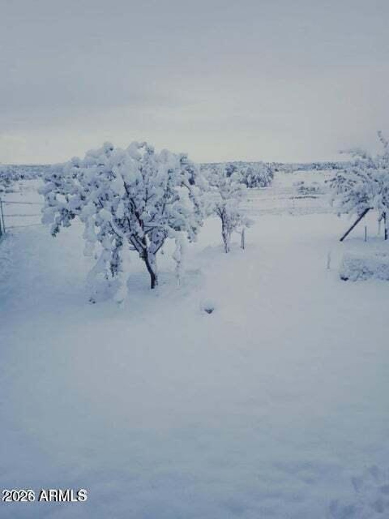 20250422235019241740000000-o