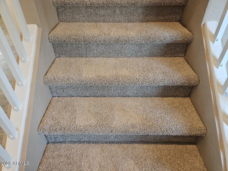 Lettere Cir 17929 18