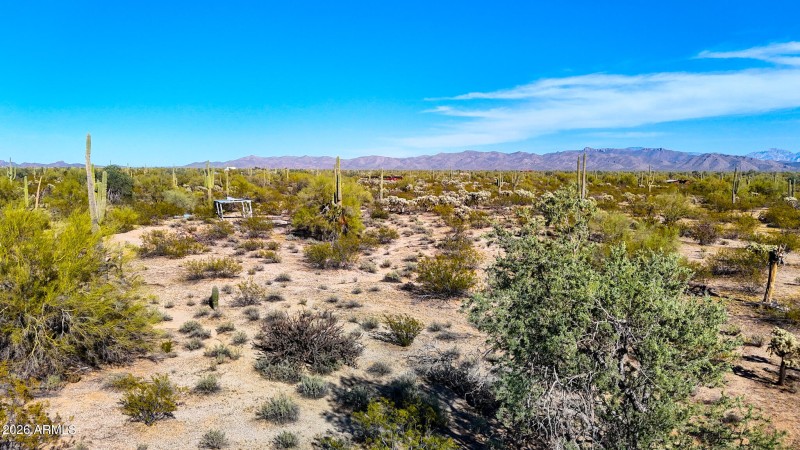 dji_fly_20260302_155238_0591_17724996624